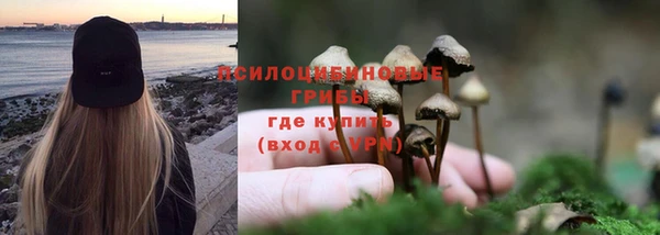 стафф Волосово