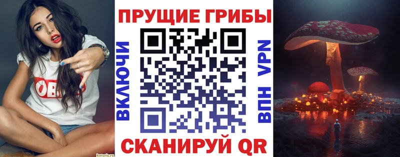 Галлюциногенные грибы Cubensis  Купить где  Нерчинск 